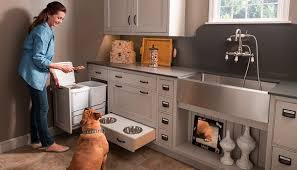 dog washing station ideas  a practical