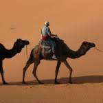 Six times crowned 'global free zone of the year' by the financial times fdi magazine, it is home to a vibrant community. Destination Management Services Destination Management Company In Dubai Dmc