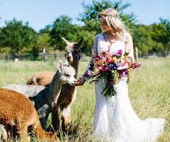Locations of active coronavirus cases are aggregated by province, deaths are aggregated by region. Governor S Guidelines Give Southwest Austin And Dripping Springs Wedding Vendors The Go Ahead For Limited Seating Events Community Impact