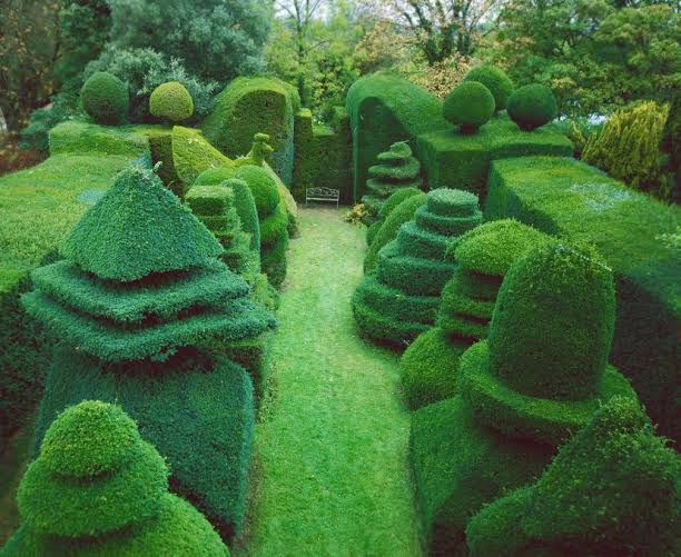 Mga resulta ng larawan para sa Topiary Cottage Garden at Beckley Park, Oxfordshire"