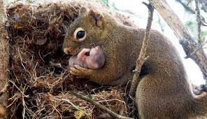 The Internet S Most Asked Questions Animals Beautiful Happy Animals Baby Animals