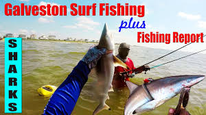 We are conveniently located in sea isle on galveston's west end. Galveston Texas Fishing The Surf And Fishing Report Youtube