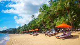 Maybe you would like to learn more about one of these? Vols Pas Chers A Koh Samui A Partir De 420 Kayak