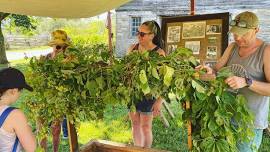 Hop Harvest Festival: Bines & Vines