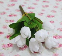 We did not find results for: Paling Bagus 10 Gambar Bunga Tulip Hitam Putih Klasifikasi Bunga Indah Tentunya Tidak Sama Pada Setiap Orang Foto Bunga Tulip Gambar Bunga Bunga Tulip Bunga