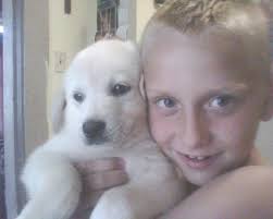 Please please keep sharing and looking out for Rufus 💔🐾💔 His family need  him home 💔 Thank you Carolyn Storr