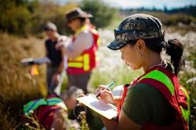 Career Options For Environmental Studies Majors Environmental Studies Environmental Science Major Environmental Engineering