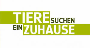 Dabei wäre es doch zu schön, wenn man mutti mit der knapp verfehlten absoluten mehrheit jetzt die gefolgschaft verweigern und sie allein im regen stehen lassen würde. Tiere Suchen Ein Zuhause Fernsehserien De