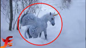 Check spelling or type a new query. Top 7 Pegasus Caught On Camera Spotted In Real Life Unicorn Coloring Pages Baby Unicorn Unicorn