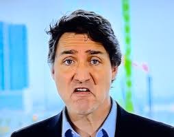 Mike Cardarelli's Instagram, Twitter & Facebook