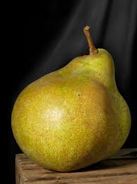 Pommes Oubliees 16 Varietes Anciennes De Fruits Pomme Fruits Poire