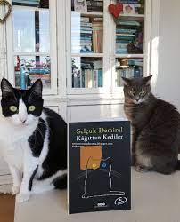 books panosundaki pin