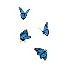 Gif pixel art moon tenor aesthetics wallpaper png pixel art gif wallpaper 1920x1080 popular aesthetic gif wallpaper desktop glodakk aesthetic anime wallpaper gif anime background gif tumblr adding site wide background images squarespace help trampled flower vhope side ff 二十五 art in 2019 pink background gifs tenor. Aesthetic Blue Butterflies Gif Png Album On Imgur