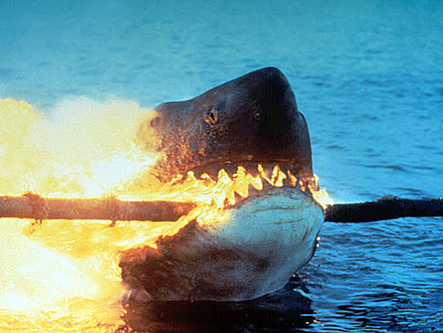 Jaws' Is a Masterpiece, but 'Jaws 2' Deserves a Legacy, Too - The New York  Times