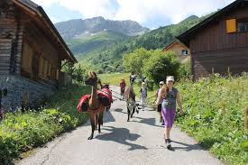 Amistosos fecha:jueves, 03 junio 2021 estadio: 15 Awesome Things To Do In Liechtenstein Paulina On The Road