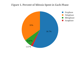 figure 1 percent of mitosis spent in each phase pie made