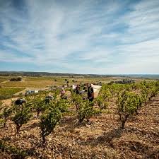 In a nice residential area, building land fully serviced. The 15 Best Things To Do In Pyrenees Orientales 2021 With Photos Tripadvisor