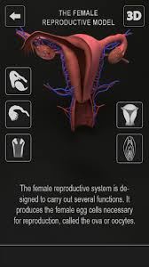 Specterr is the ultimate audio visualization software. Download Female Anatomy 3d Female Body Visualizer Free For Android Female Anatomy 3d Female Body Visualizer Apk Download Steprimo Com