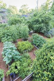 This Birmingham Couple Reaps 500 Pounds Of Produce From Their 600 Square Foot Garden Backyard Farming Square Foot Gardening Vegetable Garden