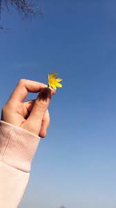 Pin On صور يد وسماء