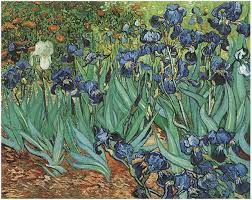 But more than anything, he was determined to comprehend and master color. Flower Paintings Van Gogh Gallery