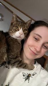 Rentals in Edmonton for 3 adults with pets?