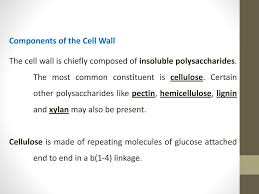 We did not find results for: Cell Wall And It S Function Ppt Download