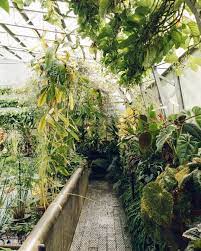 we re getting far to involved in masterchef right now