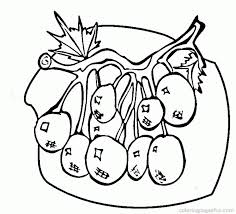There are tons of great resources for free printable color pages online. Blueberries Coloring Pages Free Printable Coloring Pages Coloring Home