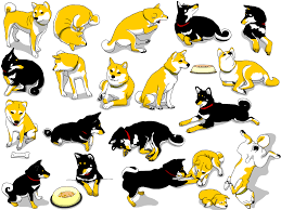 Haha This Is Kobe And River Japanese Dogs Shiba Inu Shiba