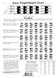 Buy Bass Guitar Chord Chart Book Online At Low Prices In