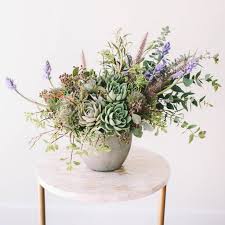 3.9 out of 5 stars. Succulent Shebang Wildflora