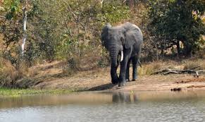 بوركينا فاسو دوله من دول افريقيا من غير سواحل على اى محيط او بحر و ليها حدود مع ست بلاد هيا : Ø£ÙØ¶Ù„ Ø£Ù…Ø§ÙƒÙ† Ø§Ù„Ø³ÙŠØ§Ø­Ø© ÙÙŠ Ø¨ÙˆØ±ÙƒÙŠÙ†Ø§ ÙØ§Ø³Ùˆ Ø³Ø§Ø¦Ø­