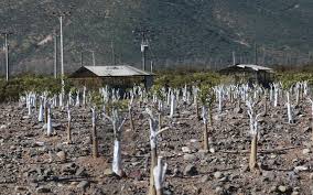 According to the 2002 census of the national statistics institute. Gobierno Establece 28 Medidas Para Enfrentar La Sequia En Petorca Cpi