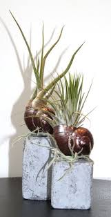 Beates Kreative Welten Kreative Garten Ideen Pflanzen Pflanzen Dekor