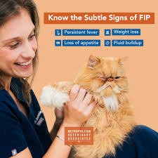 Metropolitan Veterinary Associates