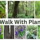 A Walk With Plants event image