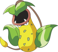 Pokemon Bird With Big Mouth Victreebel Pokemon Wiki Fandom Powered By Wikia In 2020 Pokemon Teams Pokemon Pokedex Type Pokemon