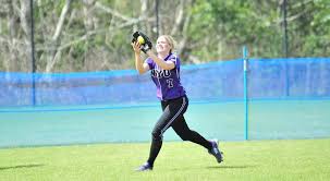 Softball Drops Road DH at Stevens Tech - NYU Athletics
