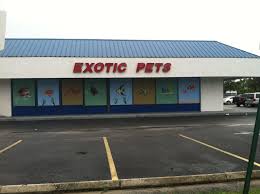 All stores clothing store convenience store department store electronics store furniture store hardware store home goods store jewelry store liquor store pet store shopping mall supermarket. Fosters Exotic Pets Home Facebook