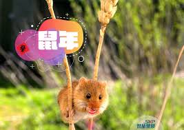 More images for cover skp 2020 » 2020 Cny Holiday Notice Skp News And Events Shih Kuen Plastics Co Ltd