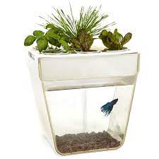 Back To The Roots Aquafarm 3 Gallon Fish Tank Aqua Farm Fish Garden Self Cleaning Fish Tank