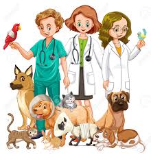 MEDICINA VETERINARIA Y ZOOTECNIA: enero 2019