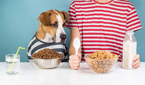 What Human Food Can Dogs Eat Dog Food Recipes Foods Dogs Can Eat Can Dogs Eat