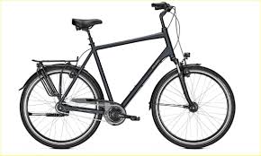 Stabiles Und Extra Grosses Xxl Herren Fahrrad Von Raleigh Gunstig Kaufen