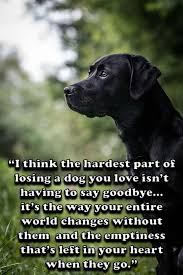 Hard To Say Goodbye Dog Quotes Losing A Dog Dog Love