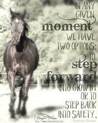 I Love Horses Inspirational Horse Quotes Horse Riding Quotes Equine Quotes