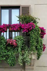 Free delivery from 47,90 €. 40 Window And Balcony Flower Box Ideas Photos Balcony Flower Box Patio Flowers Balcony Flowers
