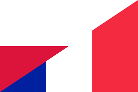 Download in png and use the icons in websites, powerpoint, word, keynote and all common apps. File Flag Of Poland And France Svg Wikimedia Commons