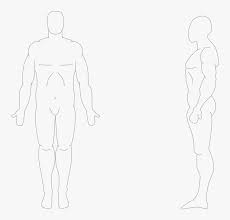 So much complicated, in fact, you won't understand anything. Human Body Front And Side Anatomical Position Front And Side Hd Png Download Kindpng